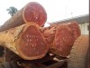 Các loại Gỗ nhập khẩu từ châu Phi được nhập nhiều nhất về Việt Nam (1)