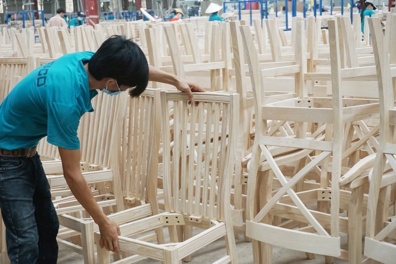 Các cách phân biệt dòng gỗ Mua Bán sản xuất thi công Gỗ nhập khẩu chất lượng cao (1)