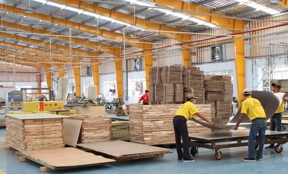 Các cách phân biệt dòng gỗ Mua Bán sản xuất thi công Gỗ nhập khẩu chất lượng cao (2)
