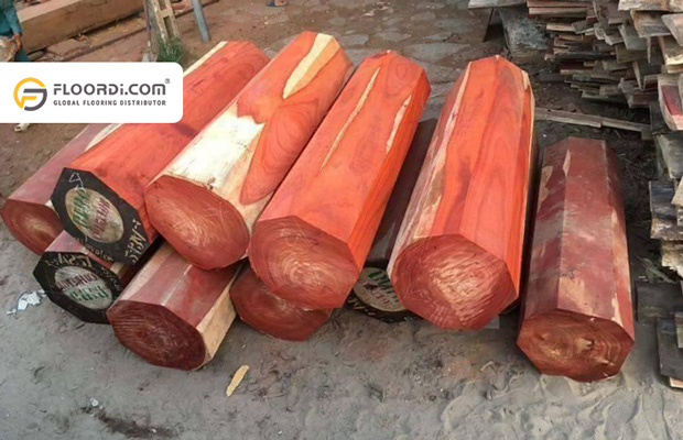 Sàn mua bán, sản xuất, thi công bán gỗ giáng hương Tuy Hoà, Phú Yên tốt